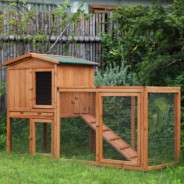 Tucker Murphy Pet™ Alisandra 9.8 Square Feet Chicken Coop with Chicken